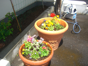 �O���[�v�z�[�� �a���ƁE�ʐ^�W7