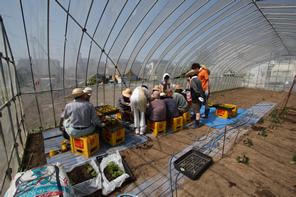 �O���[�v�z�[�� �a���ƁE�ʐ^�W14