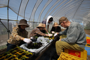 �O���[�v�z�[�� �a���ƁE�ʐ^�W15