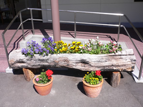 �O���[�v�z�[�� �a���ƁE�ʐ^�W20